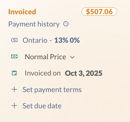 The sales order payment information.